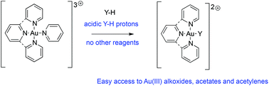 Graphical abstract: Direct formation of Au(iii) acetyl, alkoxyl and alkynyl functionalities via halide free tricationic Au(iii) precursors
