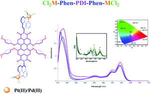 Graphical abstract: Spectroscopic, electrochemical and photovoltaic properties of Pt(ii) and Pd(ii) complexes of a chelating 1,10-phenanthroline appended perylene diimide