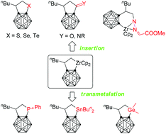 Graphical abstract: Synthesis of carborane-fused carbo- and heterocycles via zirconacyclopentane intermediates