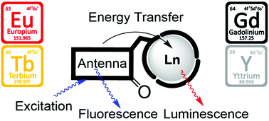 Graphical abstract: Shining light on the antenna chromophore in lanthanide based dyes