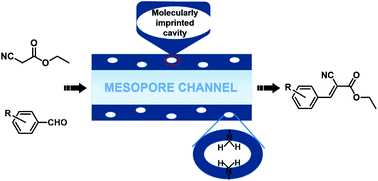 Graphical abstract: Hybrid mesoporous organosilicas with molecularly imprinted cavities: towards extended exposure of active amino groups in the framework wall