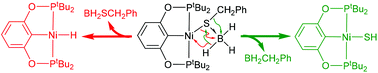 Graphical abstract: A reaction of [2,6-(tBu2PO)2C6H3]NiSCH2Ph with BH3·THF: borane mediated C–S bond cleavage