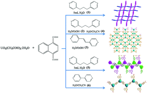 Graphical abstract: Six uranyl-organic frameworks with naphthalene-dicarboxylic acid and bipyridyl-based spacers: syntheses, structures, and properties