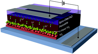 Graphical abstract: Extrinsic ion migration in perovskite solar cells