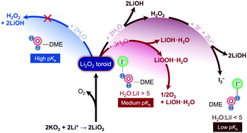 Graphical abstract: The role of iodide in the formation of lithium hydroxide in lithium–oxygen batteries