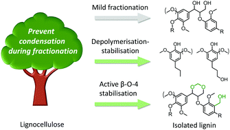 Graphical abstract: Lignin-first biomass fractionation: the advent of active stabilisation strategies