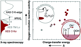 Graphical abstract: Charge-transfer-energy-dependent oxygen evolution reaction mechanisms for perovskite oxides