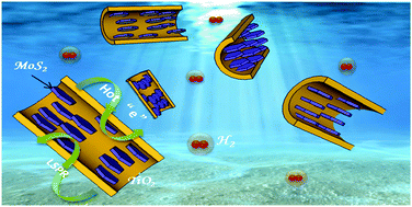 Graphical abstract: MoS2/TiO2 heterostructures as nonmetal plasmonic photocatalysts for highly efficient hydrogen evolution