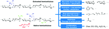 Graphical abstract: A mechanistic model of fast pyrolysis of hemicellulose