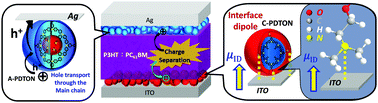Graphical abstract: Toward a universal polymeric material for electrode buffer layers in organic and perovskite solar cells and organic light-emitting diodes