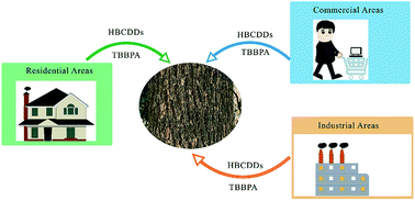 Graphical abstract: Hexabromocyclododecane and tetrabromobisphenol A in tree bark from different functional areas of Shanghai, China: levels and spatial distributions
