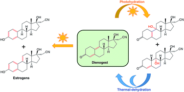 Graphical abstract: Environmental photochemistry of dienogest: phototransformation to estrogenic products and increased environmental persistence via reversible photohydration