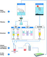 Graphical abstract: In vitro assessment of sex steroids and related compounds in water and sediments – a critical review