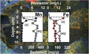 Graphical abstract: Emerging investigator series: geochemistry of trace elements associated with Fe and Mn nodules in the sediment of limed boreal lakes