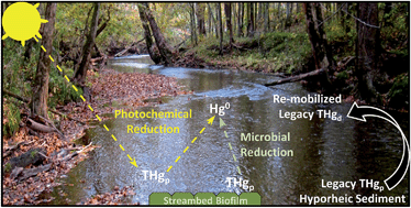 Graphical abstract: Hg isotopes reveal in-stream processing and legacy inputs in East Fork Poplar Creek, Oak Ridge, Tennessee, USA