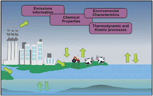 Graphical abstract: Environmental fate and exposure models: advances and challenges in 21st century chemical risk assessment