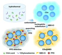 Graphical abstract: A hybrid of carbon dots with 4-chloro-7-nitro-2,1,3-benzoxadiazole for selective detection of p-phenylenediamine
