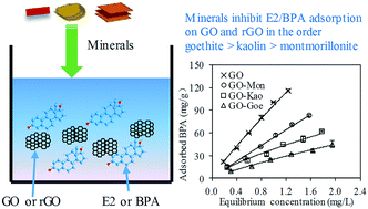 Graphical abstract: Effects of natural minerals on the adsorption of 17β-estradiol and bisphenol A on graphene oxide and reduced graphene oxide