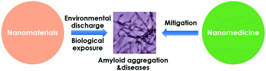Graphical abstract: Modulating protein amyloid aggregation with nanomaterials