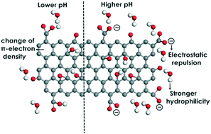Graphical abstract: Understanding the pH-dependent adsorption of ionizable compounds on graphene oxide using molecular dynamics simulations
