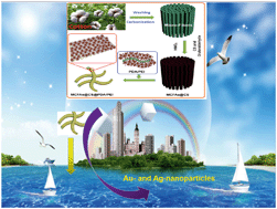 Graphical abstract: A mussel-inspired hybrid copolymer adhered to chitosan-coated micro-sized carbon fiber aerogels for highly efficient nanoparticle scavenging