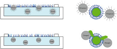 Graphical abstract: Engineered silica nanoparticles interact differently with lipid monolayers compared to lipid bilayers
