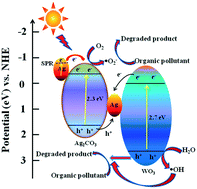 Graphical abstract: Highly efficient visible-light-induced photoactivity of Z-scheme Ag2CO3/Ag/WO3 photocatalysts for organic pollutant degradation