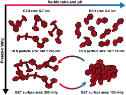 Graphical abstract: Crystal growth and aggregation in suspensions of δ-MnO2 nanoparticles: implications for surface reactivity