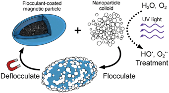 Graphical abstract: Magnetic flocculation for nanoparticle separation and catalyst recycling