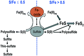 Graphical abstract: Sulfidation mechanisms of Fe(iii)-(oxyhydr)oxide nanoparticles: a spectroscopic study