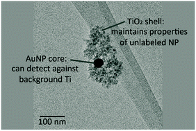 Graphical abstract: Gold core-labeled TiO2 nanoparticles for tracking behavior in complex matrices: synthesis, characterization, and demonstration