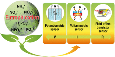 Graphical abstract: Rapid detection of nutrients with electronic sensors: a review