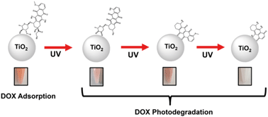 Graphical abstract: Surface interaction of doxorubicin with anatase determines its photodegradation mechanism: insights into removal of waterborne pharmaceuticals by TiO2 nanoparticles
