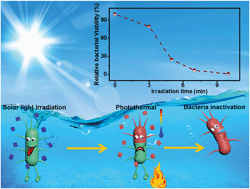Graphical abstract: Highly efficient photothermal sterilization of water mediated by Prussian blue nanocages