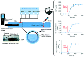 Graphical abstract: Flat flexible thin milli-electrode array for real-time in situ water quality monitoring in distribution systems