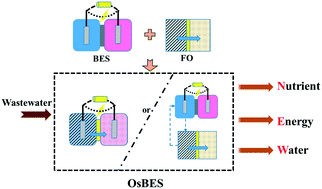 Graphical abstract: Resource recovery by osmotic bioelectrochemical systems towards sustainable wastewater treatment