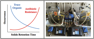 Graphical abstract: Solids retention time, influent antibiotic concentrations, and temperature as selective pressures for antibiotic resistance in activated sludge systems