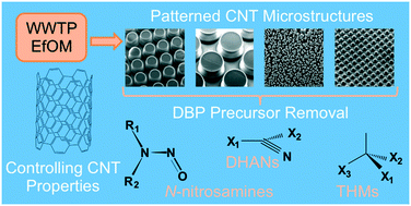 Graphical abstract: Emerging investigators series: trihalomethane, dihaloacetonitrile, and total N-nitrosamine precursor adsorption by modified carbon nanotubes (CNTs) and CNT micropillars