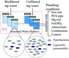 Graphical abstract: Mediation of effects of biofiltration on bacterial regrowth, Legionella pneumophila, and the microbial community structure under hot water plumbing conditions