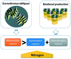Graphical abstract: FAMEs production from Scenedesmus obliquus in autotrophic, heterotrophic and mixotrophic cultures under different nitrogen conditions