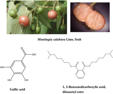 Graphical abstract: Effective compounds in the fruit of Muntingia calabura Linn. cultivated in Taiwan evaluated with scavenging free radicals and suppressing LDL oxidation
