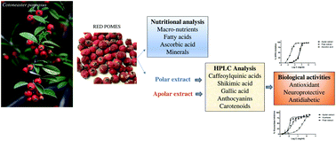 Graphical abstract: Chemical constituents, radical scavenging activity and enzyme inhibitory capacity of fruits from Cotoneaster pannosus Franch.