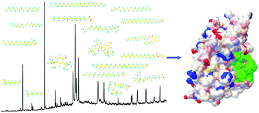 Graphical abstract: Characterization of active compounds from Gracilaria lemaneiformis inhibiting the protein tyrosine phosphatase 1B activity