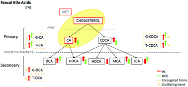 Graphical abstract: Role of dietary onion in modifying the faecal bile acid content in rats fed a high-cholesterol diet