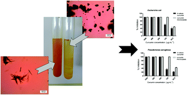 Graphical abstract: Production and characterization of curcumin microcrystals and evaluation of the antimicrobial and sensory aspects in minimally processed carrots