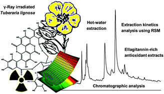 Graphical abstract: Ellagitannin-rich bioactive extracts of Tuberaria lignosa: insights into the radiation-induced effects in the recovery of high added-value compounds