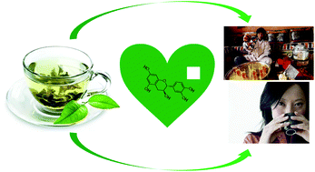 Graphical abstract: Healthy properties of green and white teas: an update