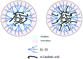 Graphical abstract: Enhancement of the solubility and antioxidant capacity of α-linolenic acid using an oil in water microemulsion