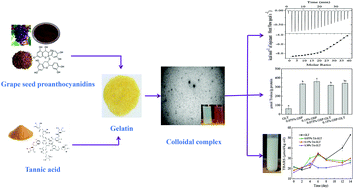 Graphical abstract: Self-assembled colloidal complexes of polyphenol–gelatin and their stabilizing effects on emulsions