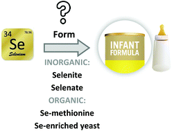 Graphical abstract: Selenium fortification of infant formulas: does selenium form matter?